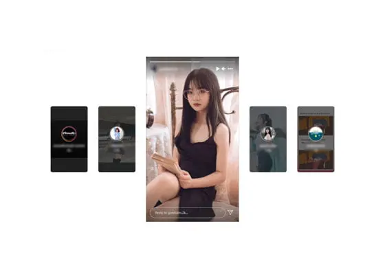 Instagram Story Download with SnapInsta